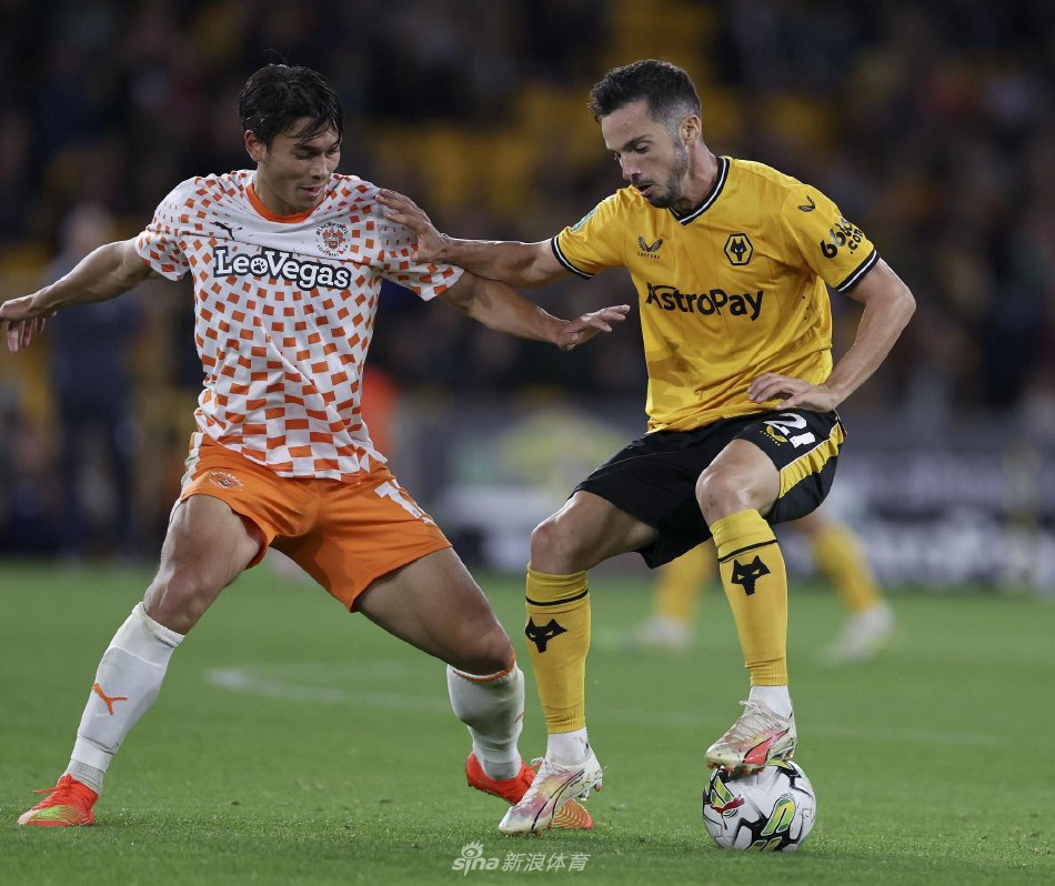 如何在预算 如何在预算